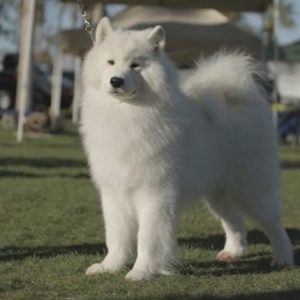 Blog1