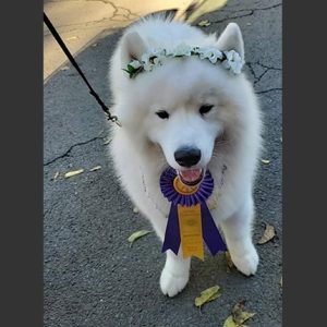 Blog5